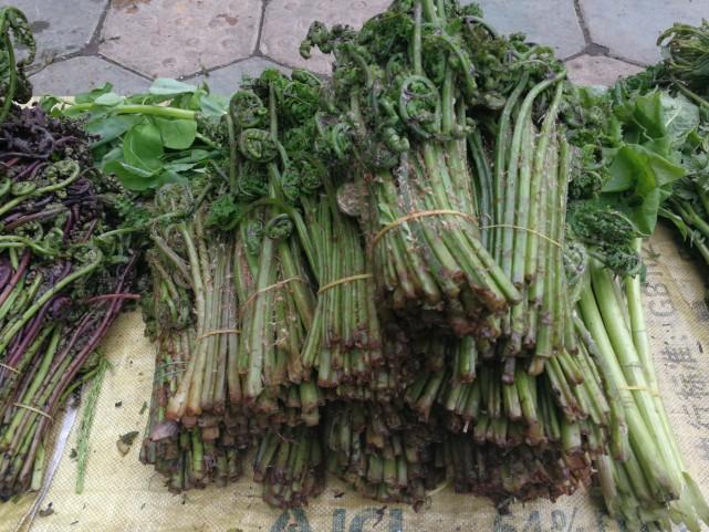 吉林发展的双刃剑效应,个人观察与见解