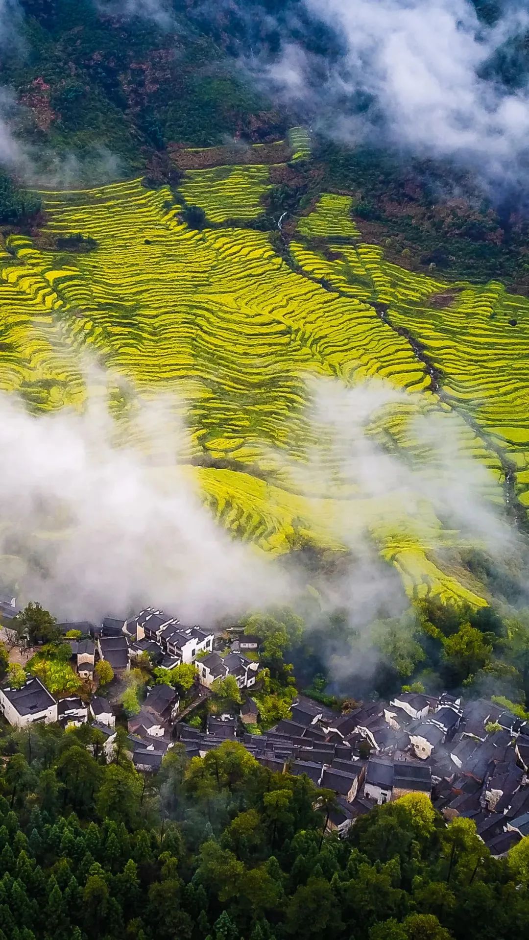 江西智造领航未来,揭秘江西高科技新成果