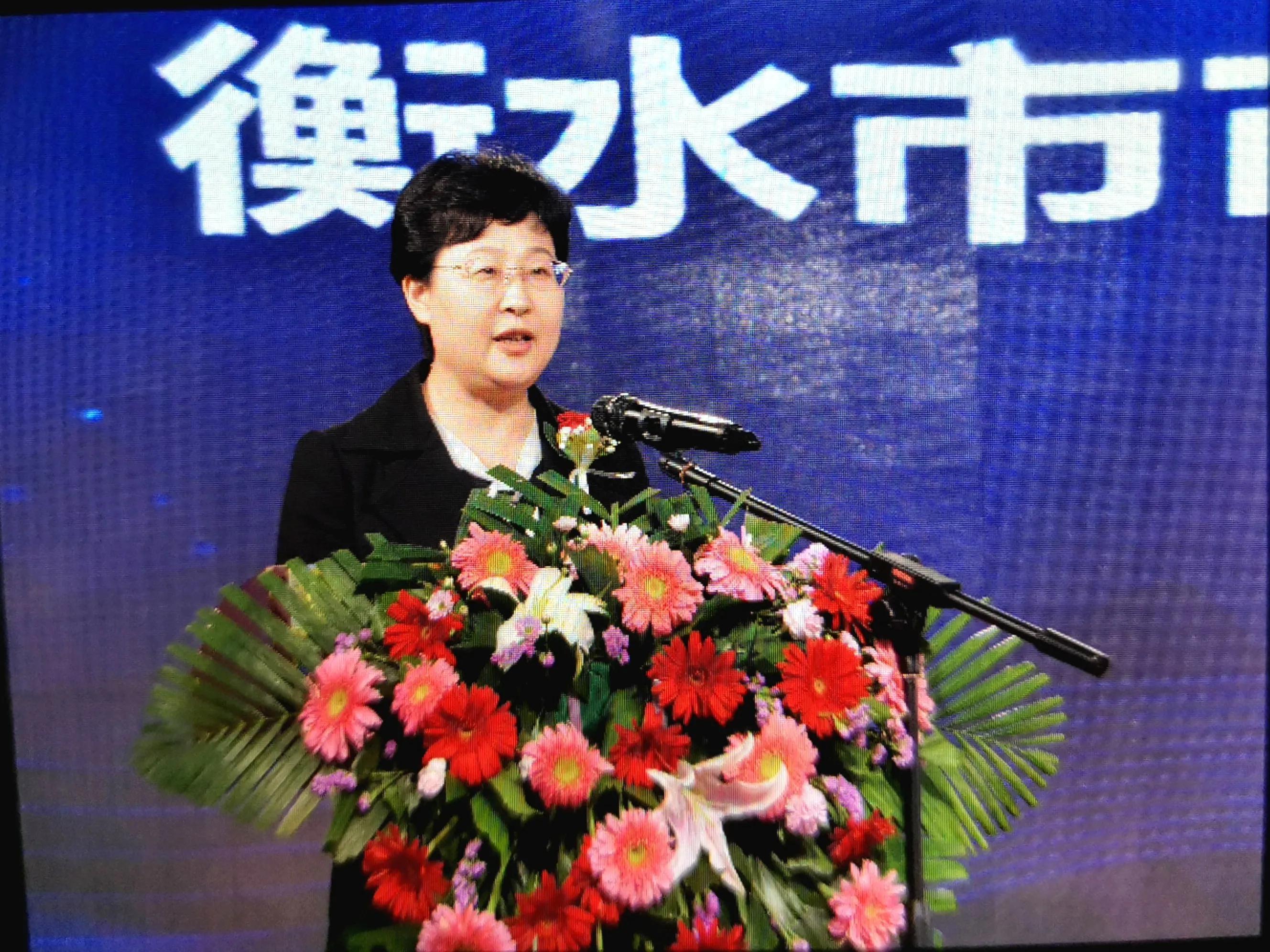 衡水,探寻这座城市的魅力与故事