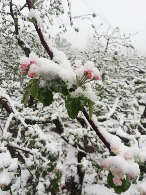千年古韵与现代活力的邢台印象