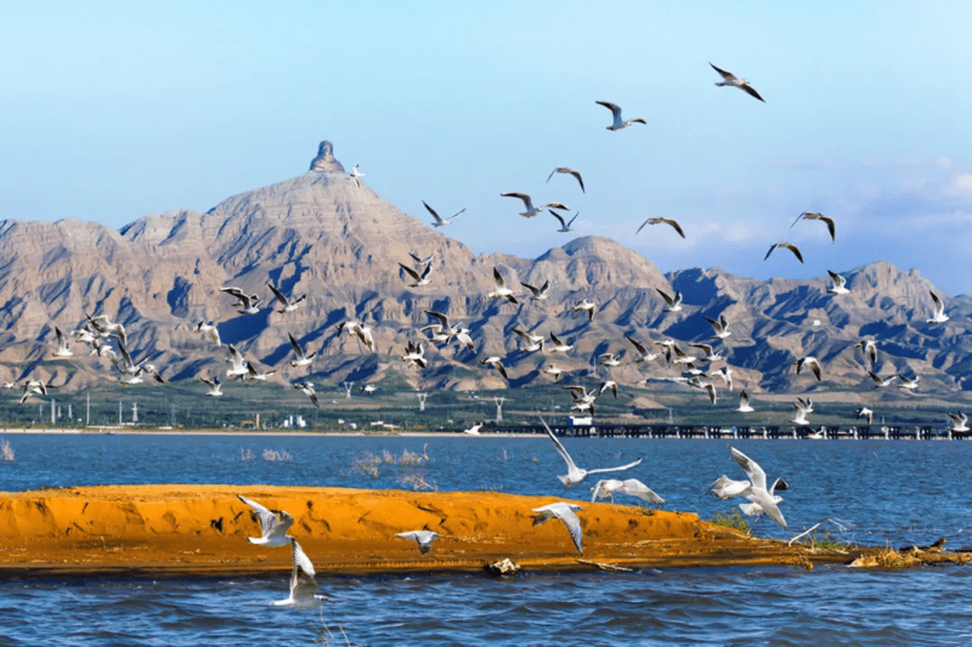 乌海之旅，探寻神秘与壮美的世界