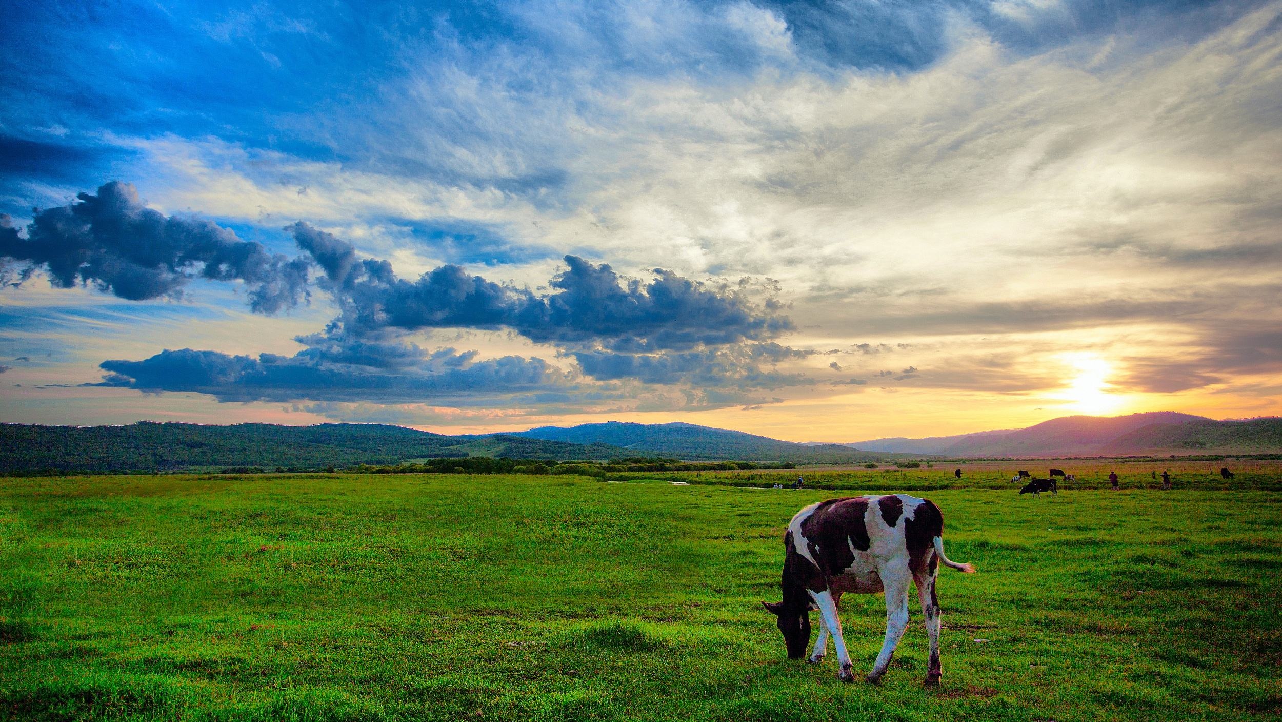 呼伦贝尔，草原之韵，自然之美的赞歌